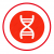 Medical Genetics 2