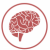 brain-image
