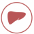 liver-image